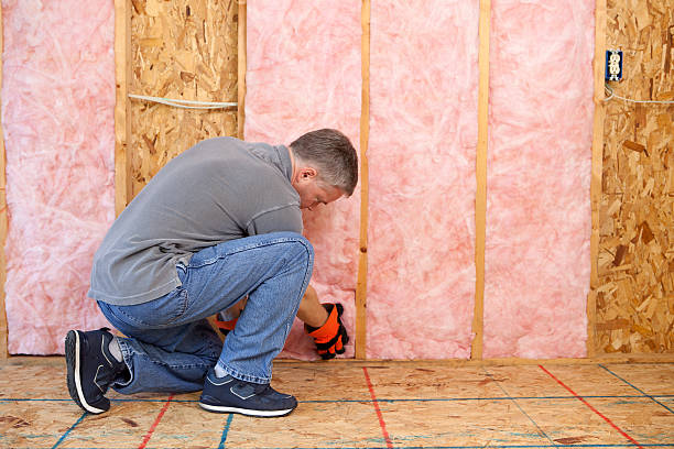 Best Residential Insulation in Rocky Point, NC