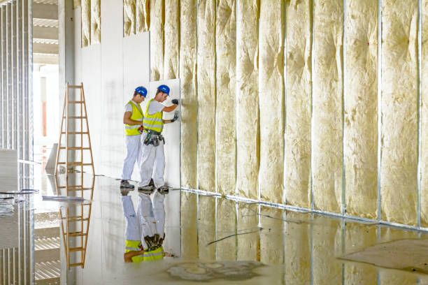 Best Types of Insulation in Rocky Point, NC